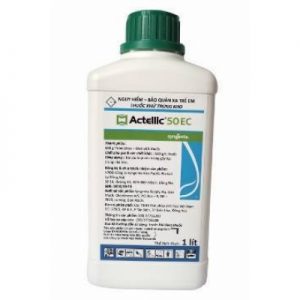 Thuốc diệt muỗi và côn trùng Actellic 50EC